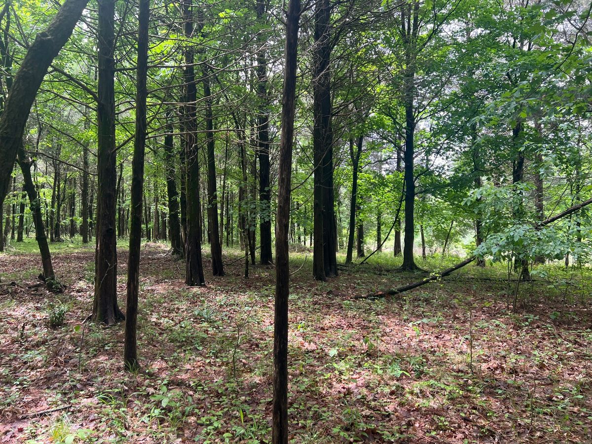 Lot 147 Parrish Ridge, Goreville, IL 62939