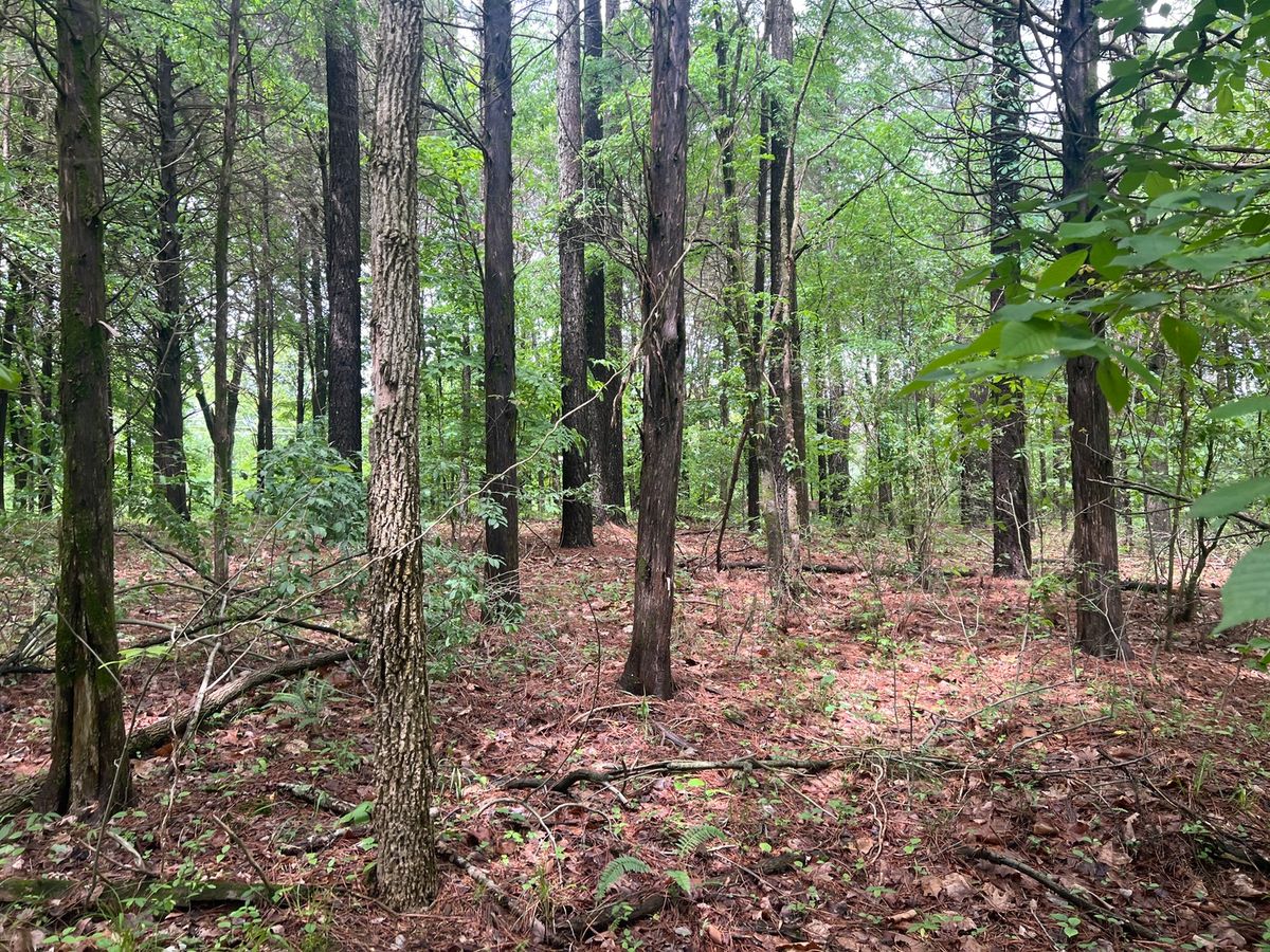Lot 147 Parrish Ridge, Goreville, IL 62939