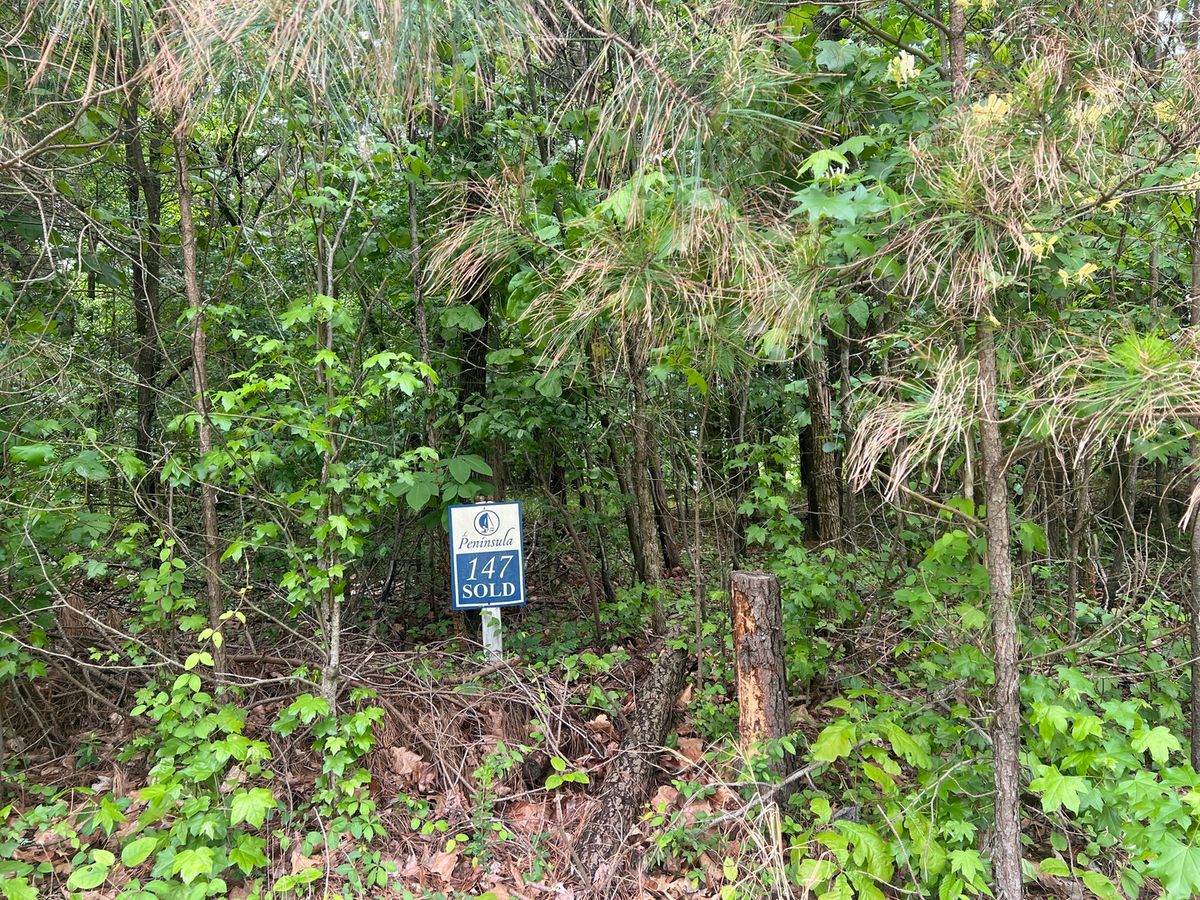 Lot 147 Parrish Ridge, Goreville, IL 62939