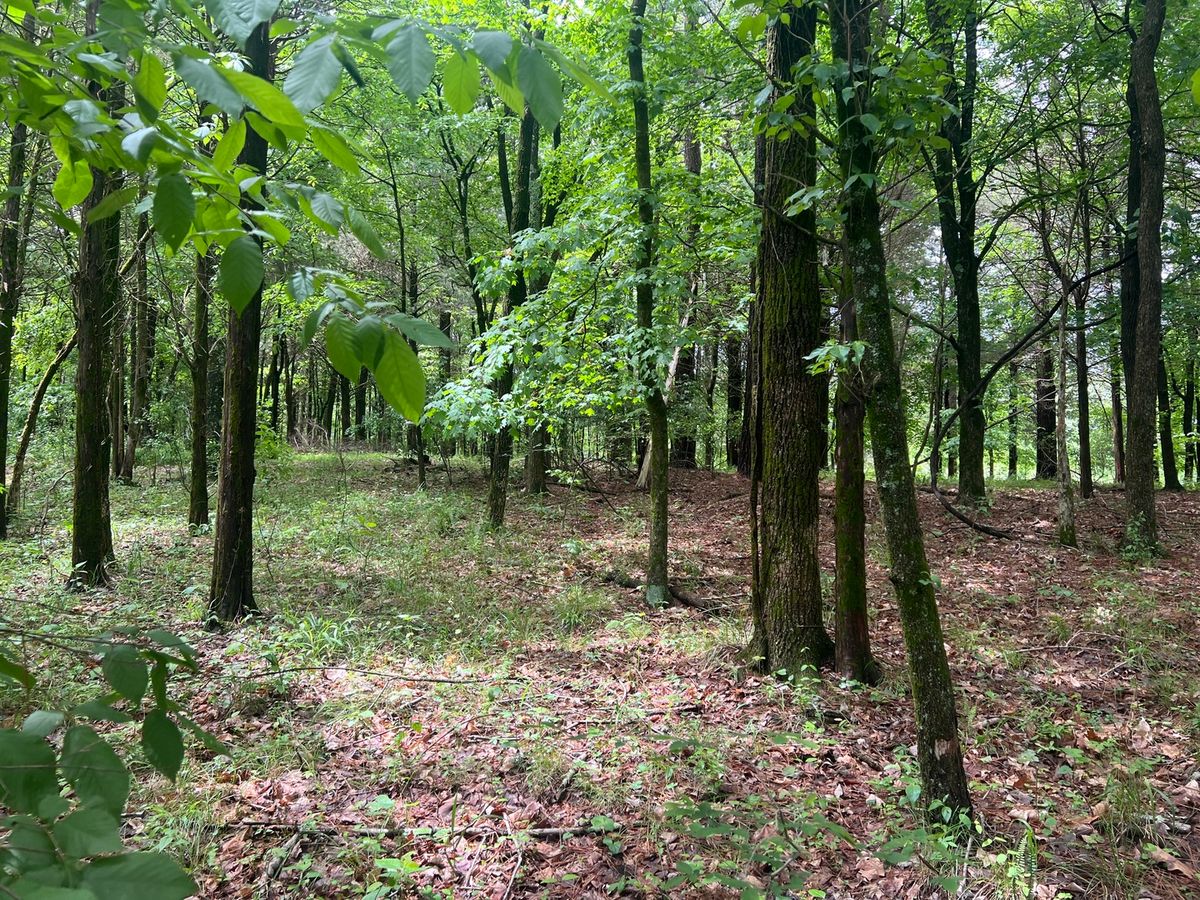 Lot 147 Parrish Ridge, Goreville, IL 62939