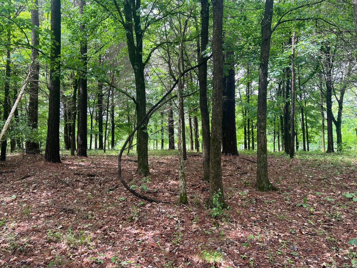 Lot 147 Parrish Ridge, Goreville, IL 62939