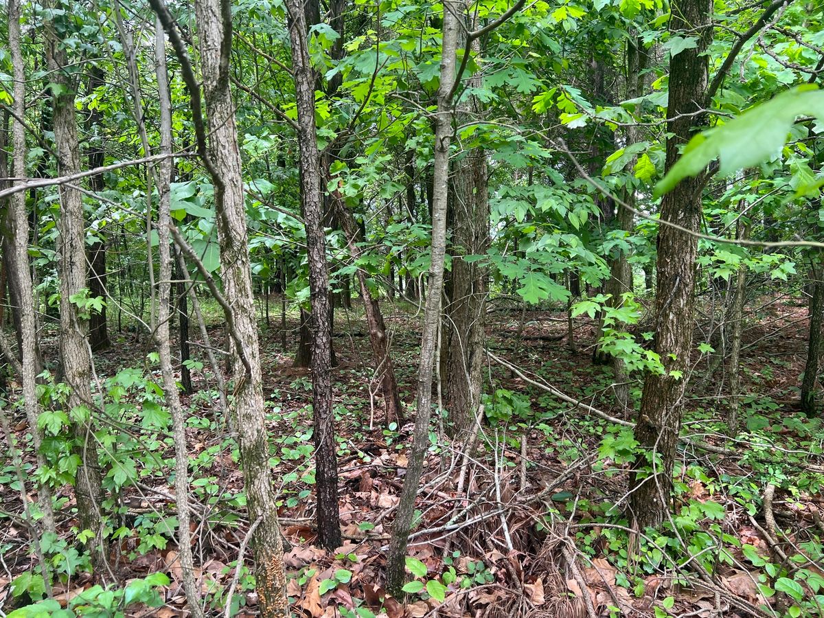 Lot 147 Parrish Ridge, Goreville, IL 62939