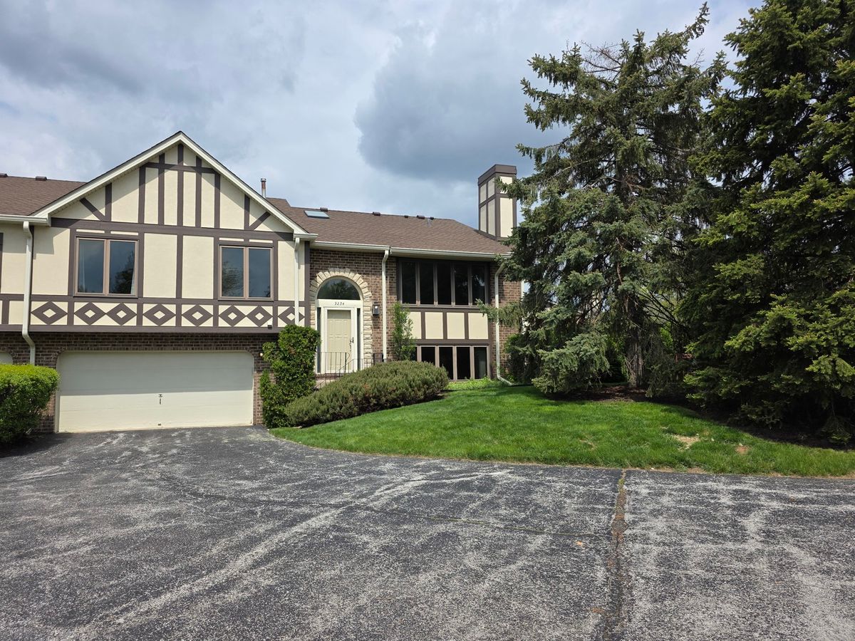 9234 Windsor Parkway, Tinley Park, IL 60487