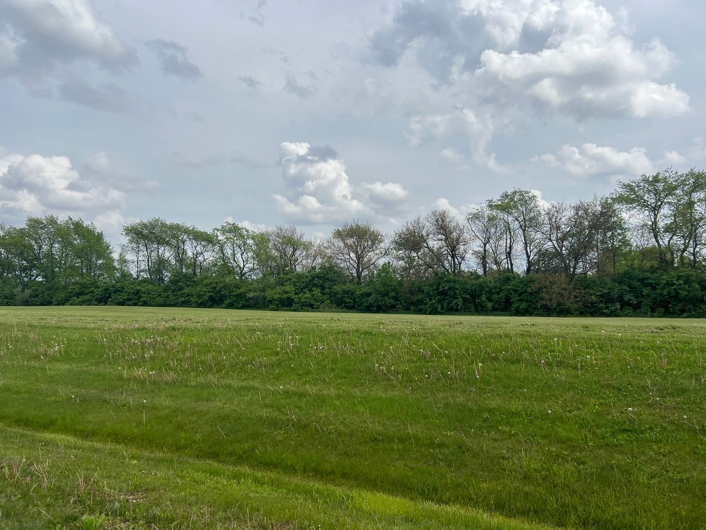 6865 W Mccampbell Drive — Monee, IL 60449