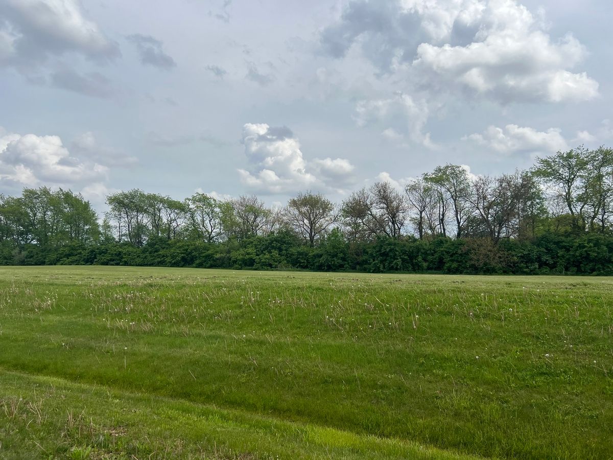 6865 Mccampbell Drive, Monee, IL 60449