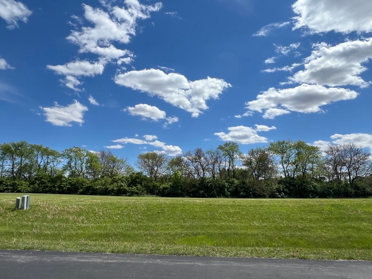 6865 W Mccampbell Drive, Monee, IL 60449