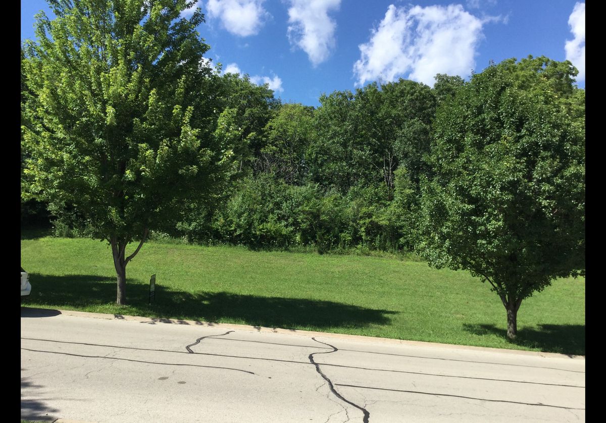 517 Rivers Edge Drive, Minooka, IL 60447