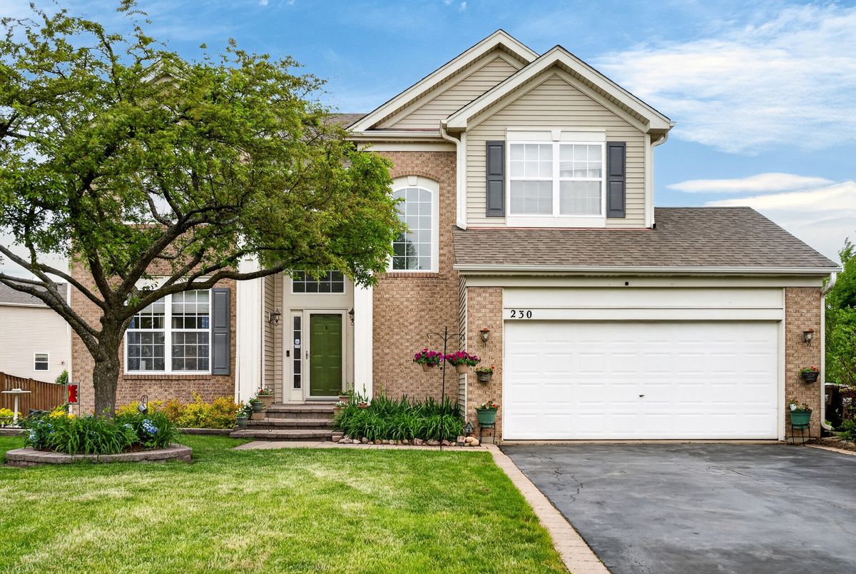 230 Vail Court, Gilberts, IL 60136