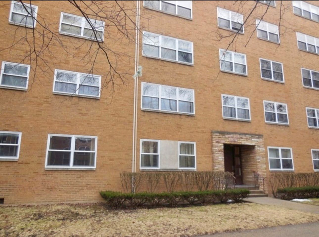 6123 N Damen Avenue #1A — Chicago, IL 60659