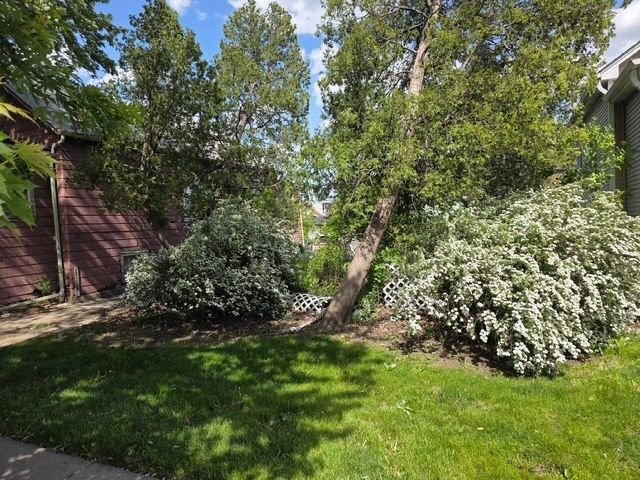5517 Mont Clare Avenue, Chicago, IL 60656