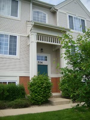 534 CARY WOODS Circle, Cary, IL 60013