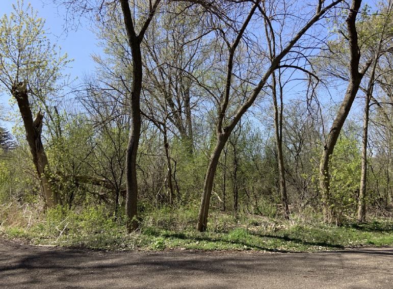 26605 N Brooks Street, Wauconda, IL 60084