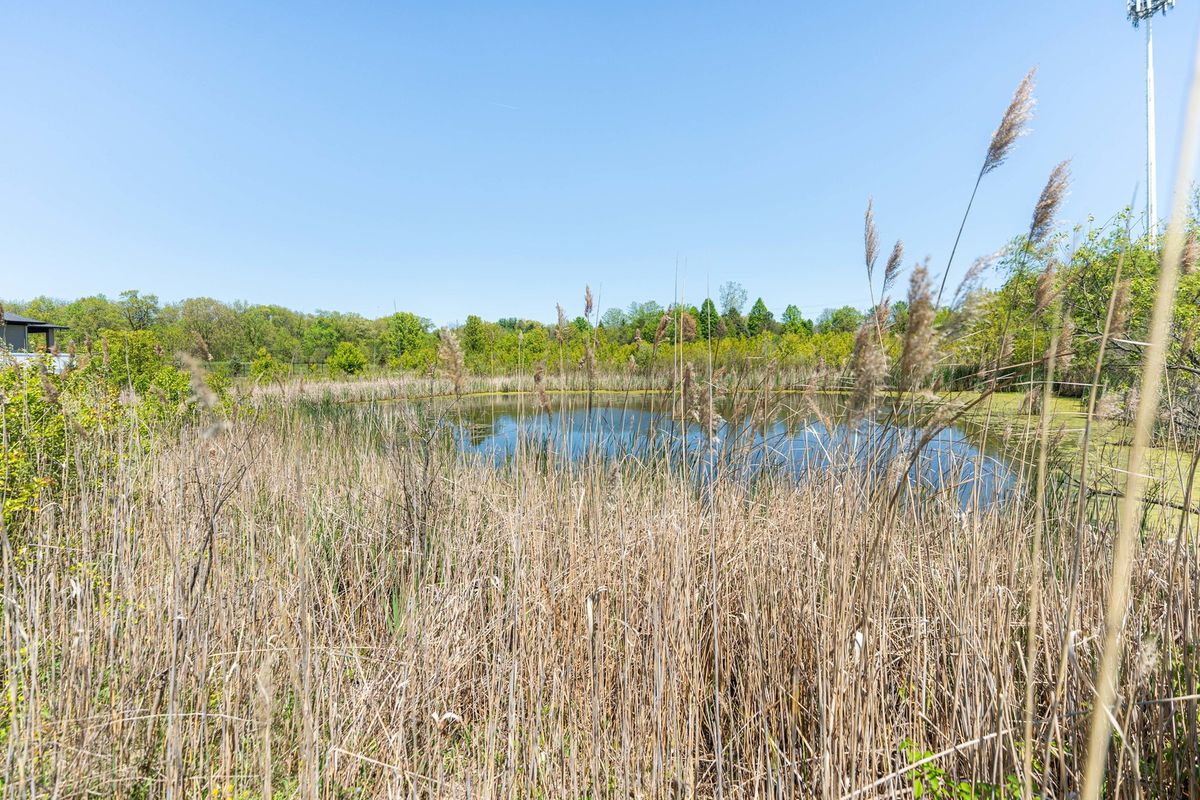 Lot 1 & 2 Deer Pond Drive, St. Charles, IL 60175
