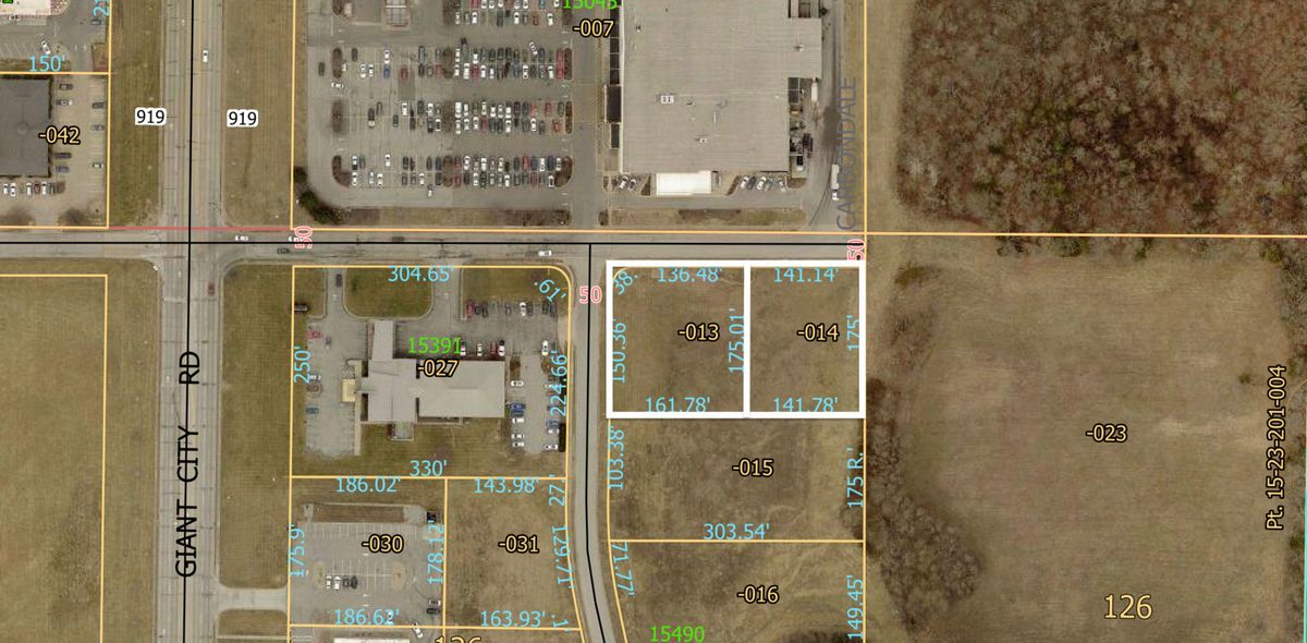 0 Sunny Acres Road, Carbondale, IL 62901
