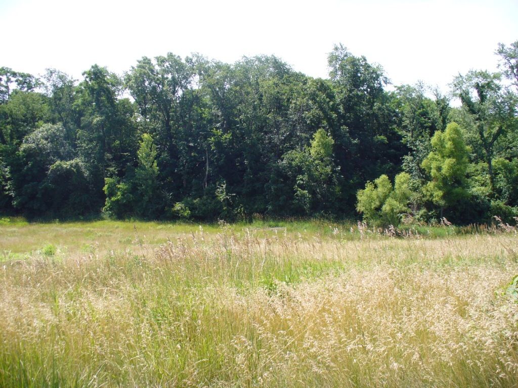 Lot 3 Par Lane, Sherrard, IL 61265
