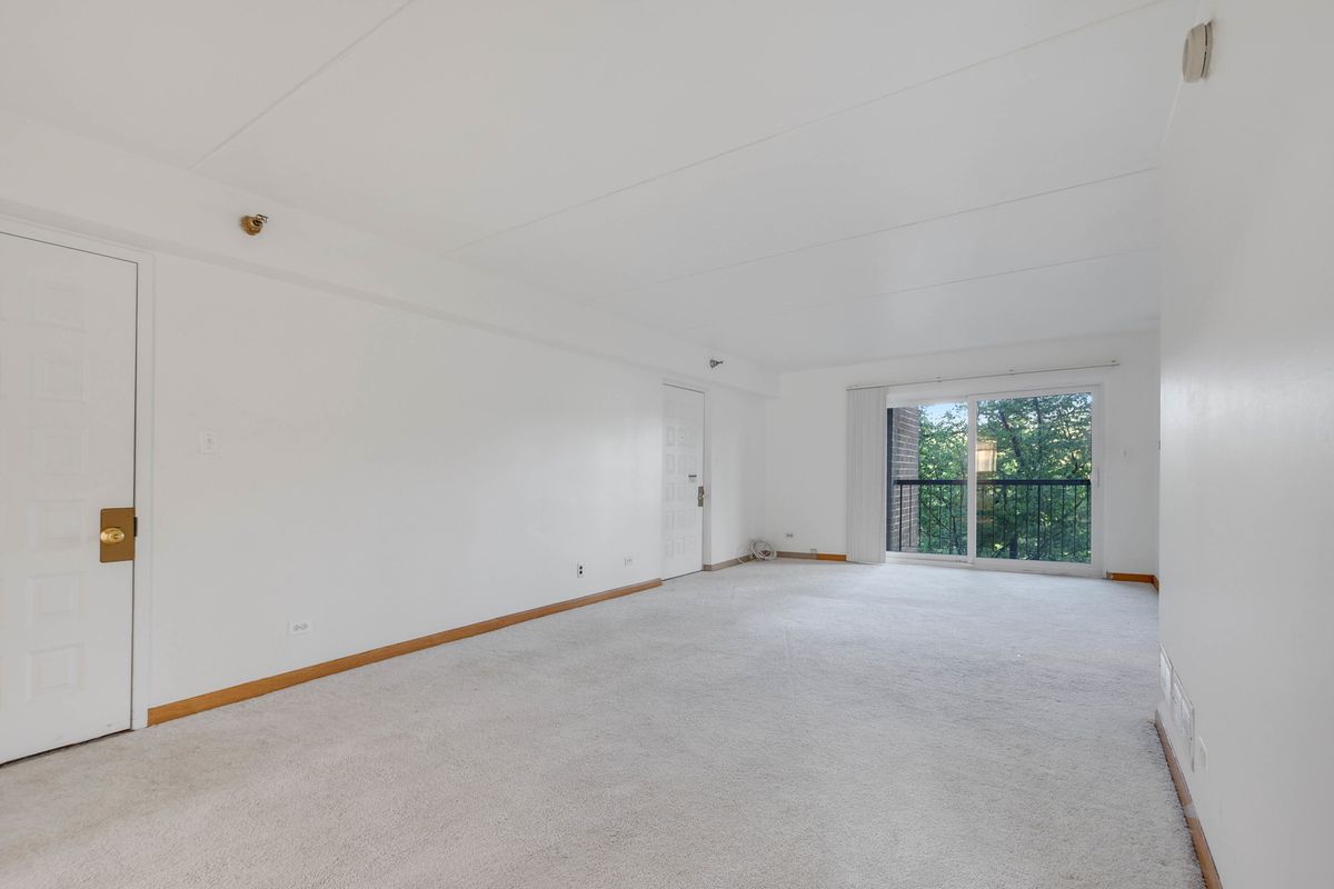 5960 Lake Bluff Drive #302, Tinley Park, IL 60477