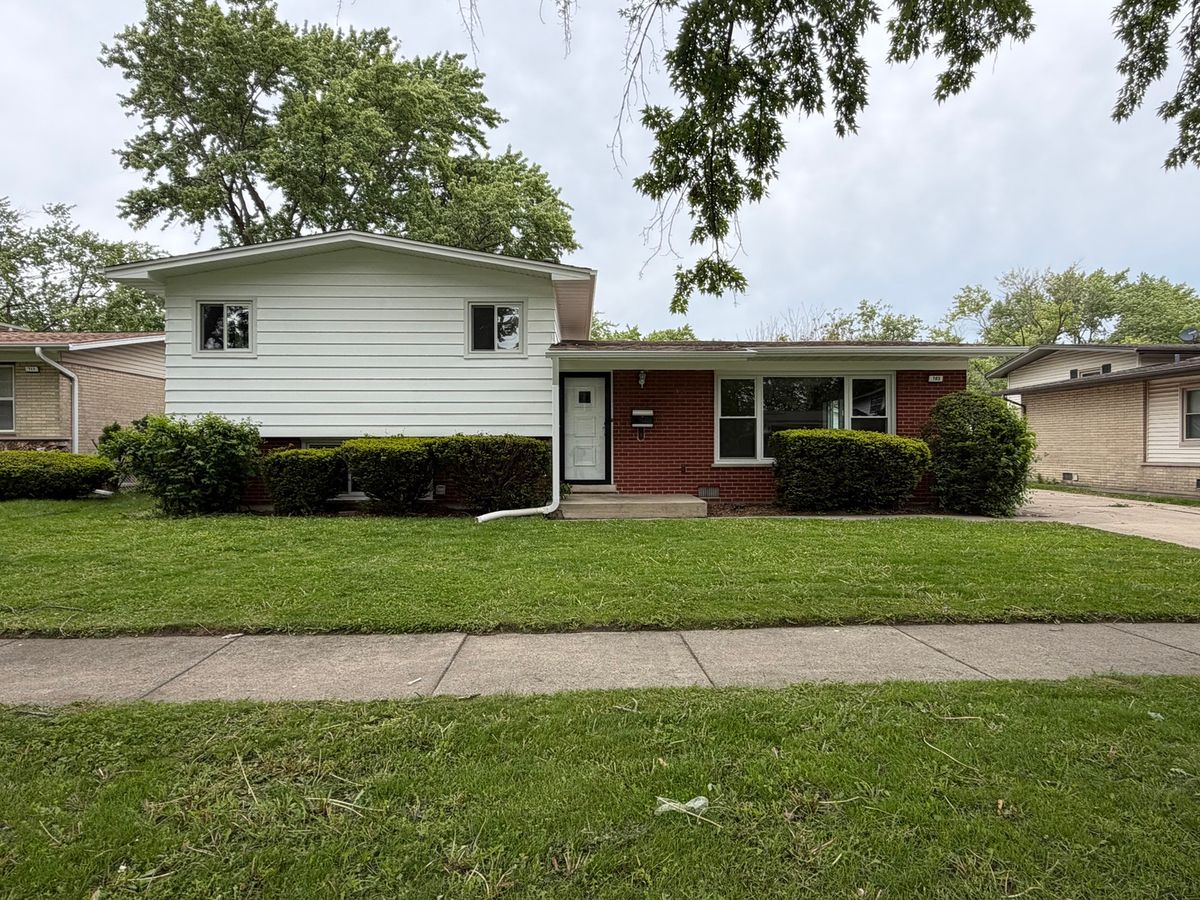 705 Fitzhenry Court, Glenwood, IL 60425