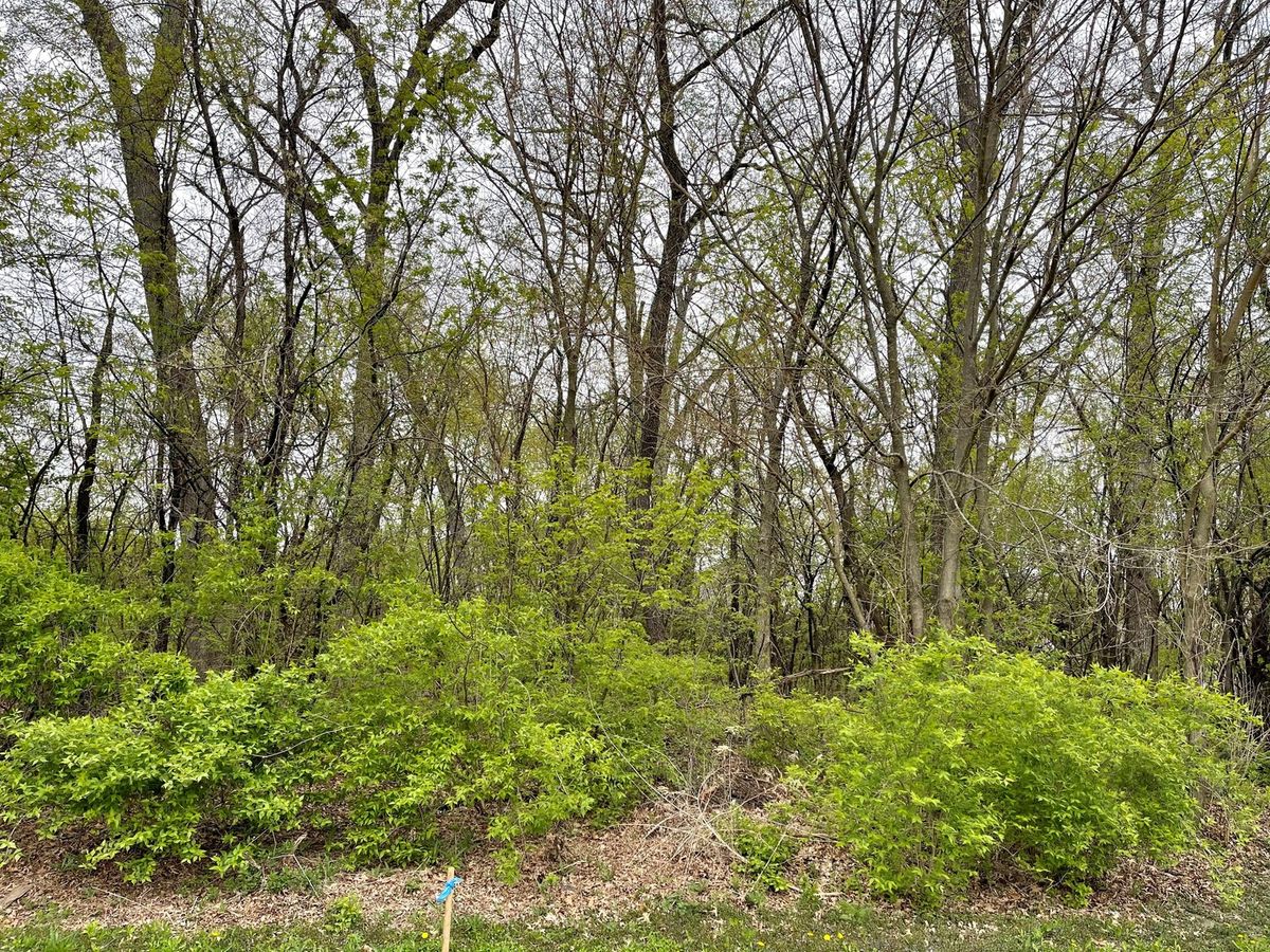 3319 Lakewood Drive, Prairie Grove, IL 60012