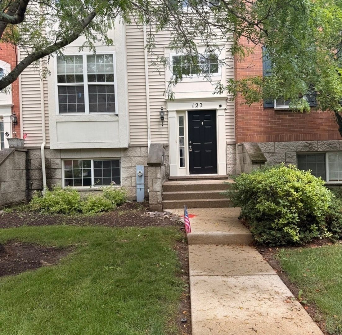 127 Willey Street — Gilberts, IL 60136