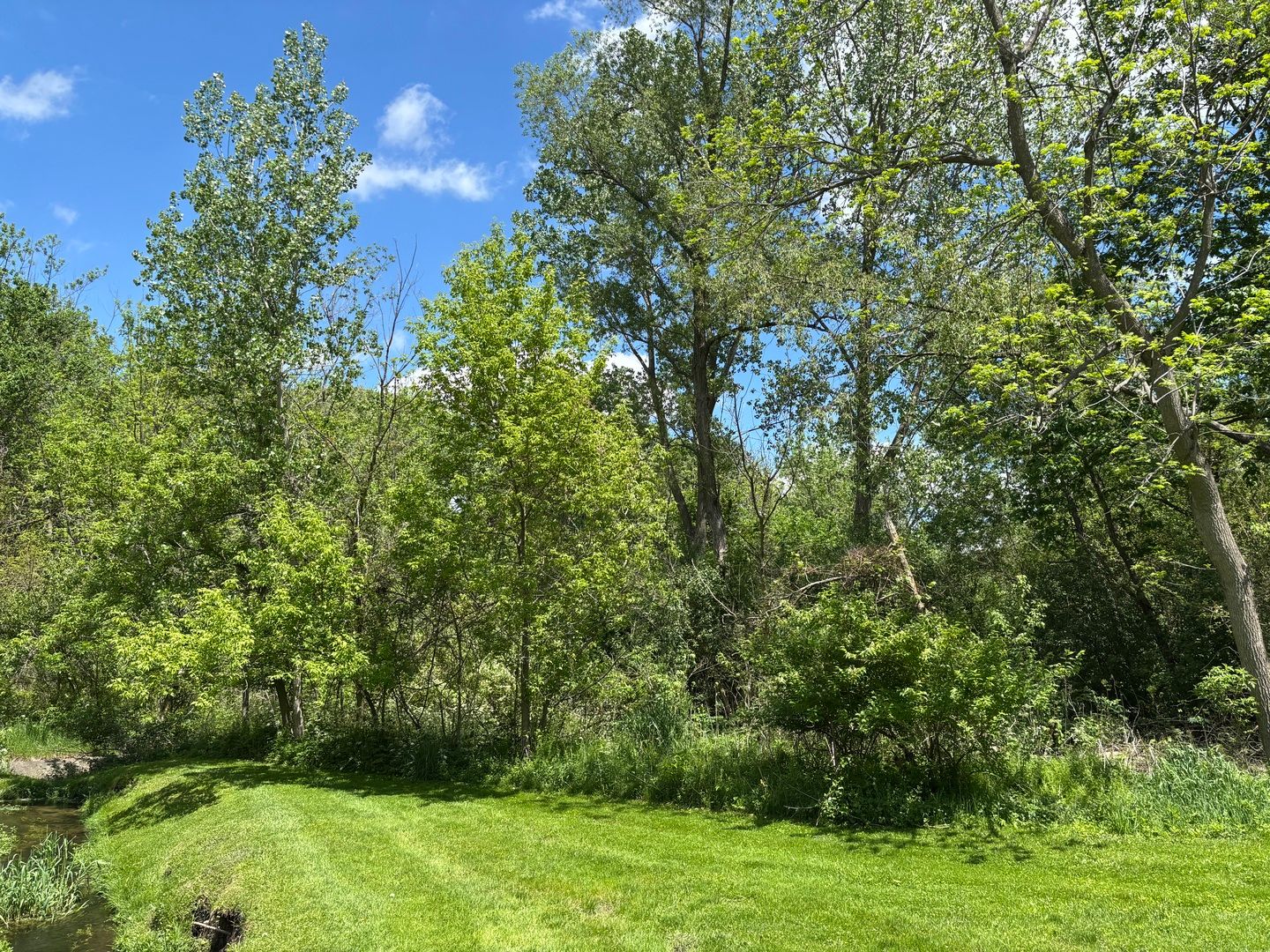 4N624 Snowbird Court — St. Charles, IL 60175