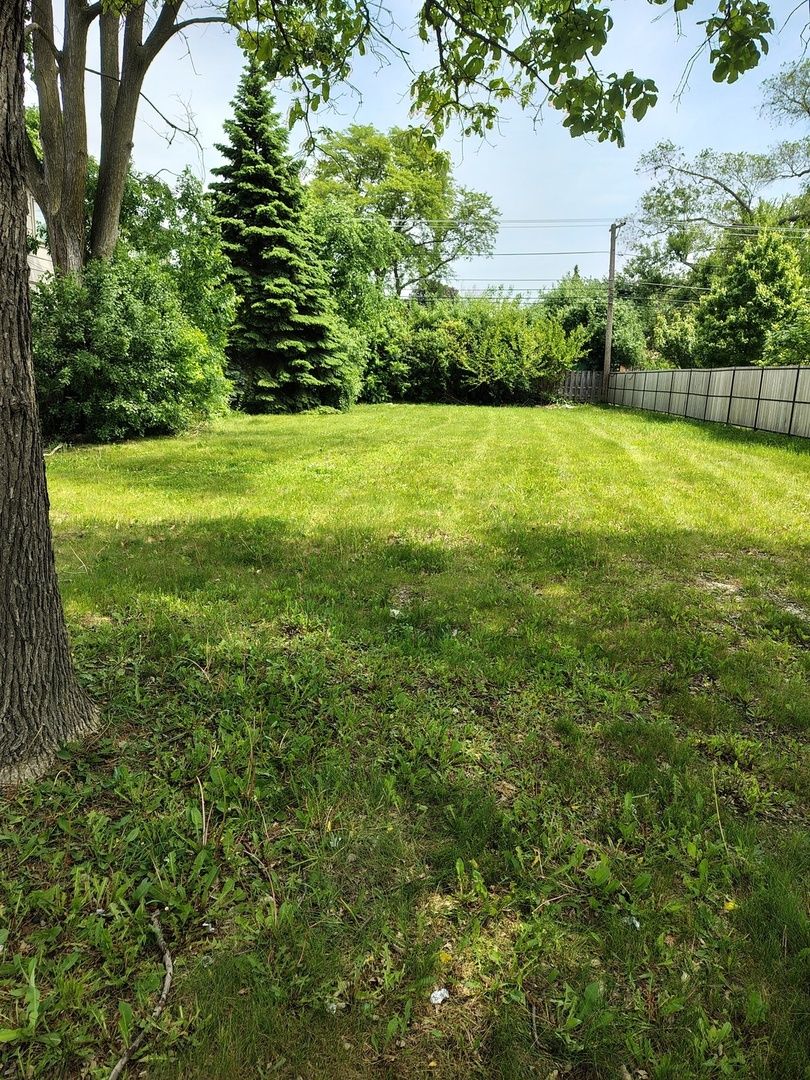 1433 North Northwest Highway — Park Ridge, IL 60068