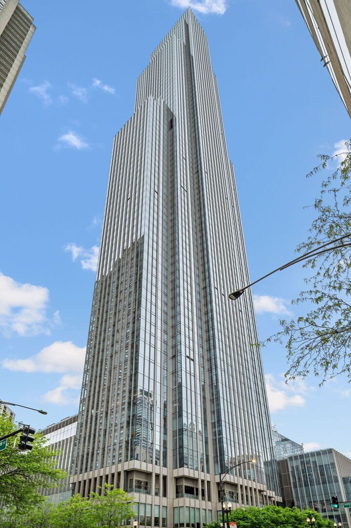 14 W Superior Street #5303 — Chicago, IL 60654