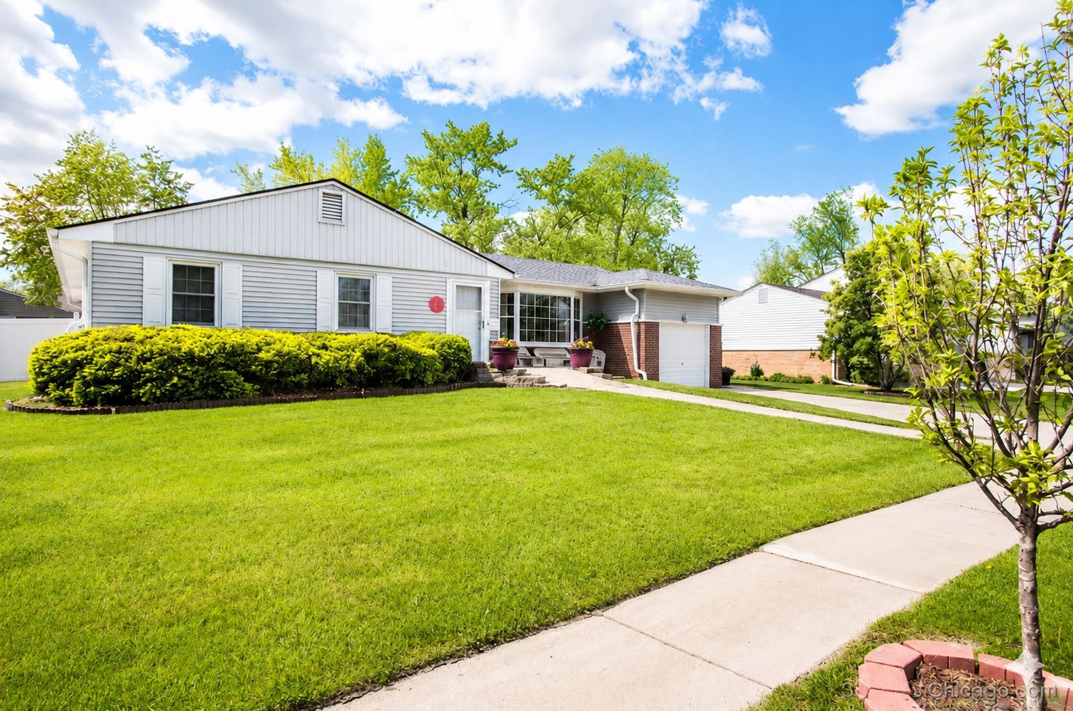 1359 E Dorothy Drive — Palatine, IL 60074