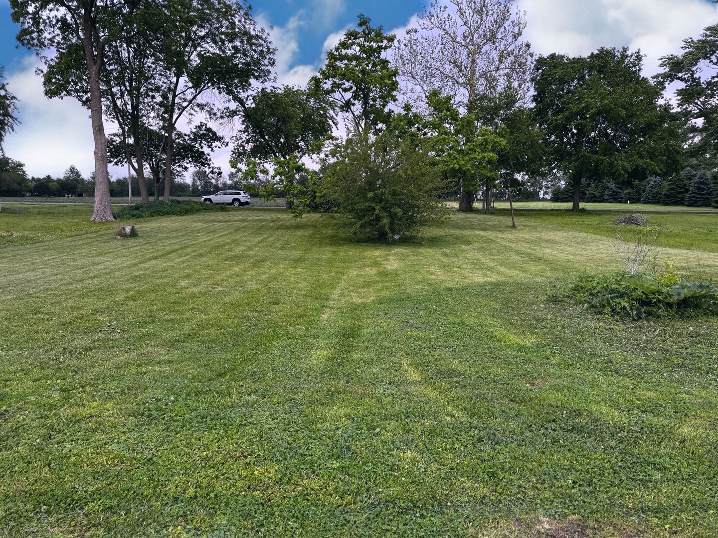 Lot 13 S Locust Street — Wenona, IL 61377