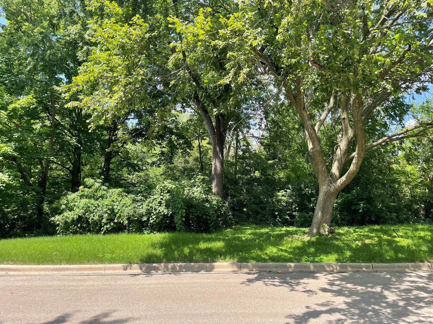 Lot 4 Manchester Avenue — Batavia, IL 60510