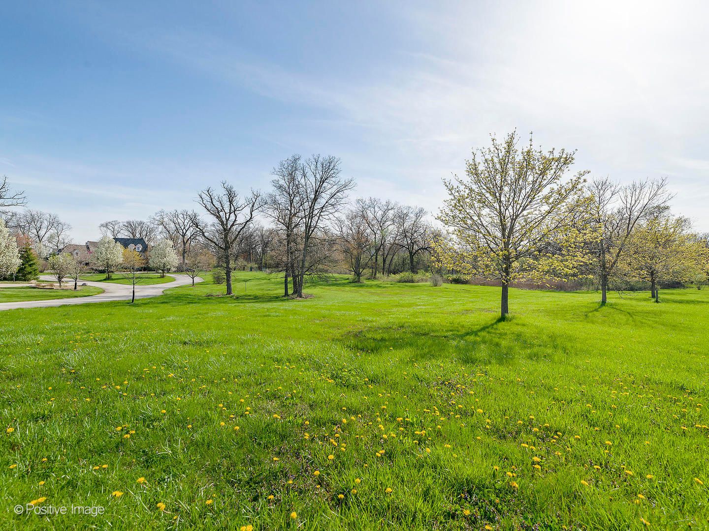 215 Oak Brook Road — Oak Brook, IL 60523