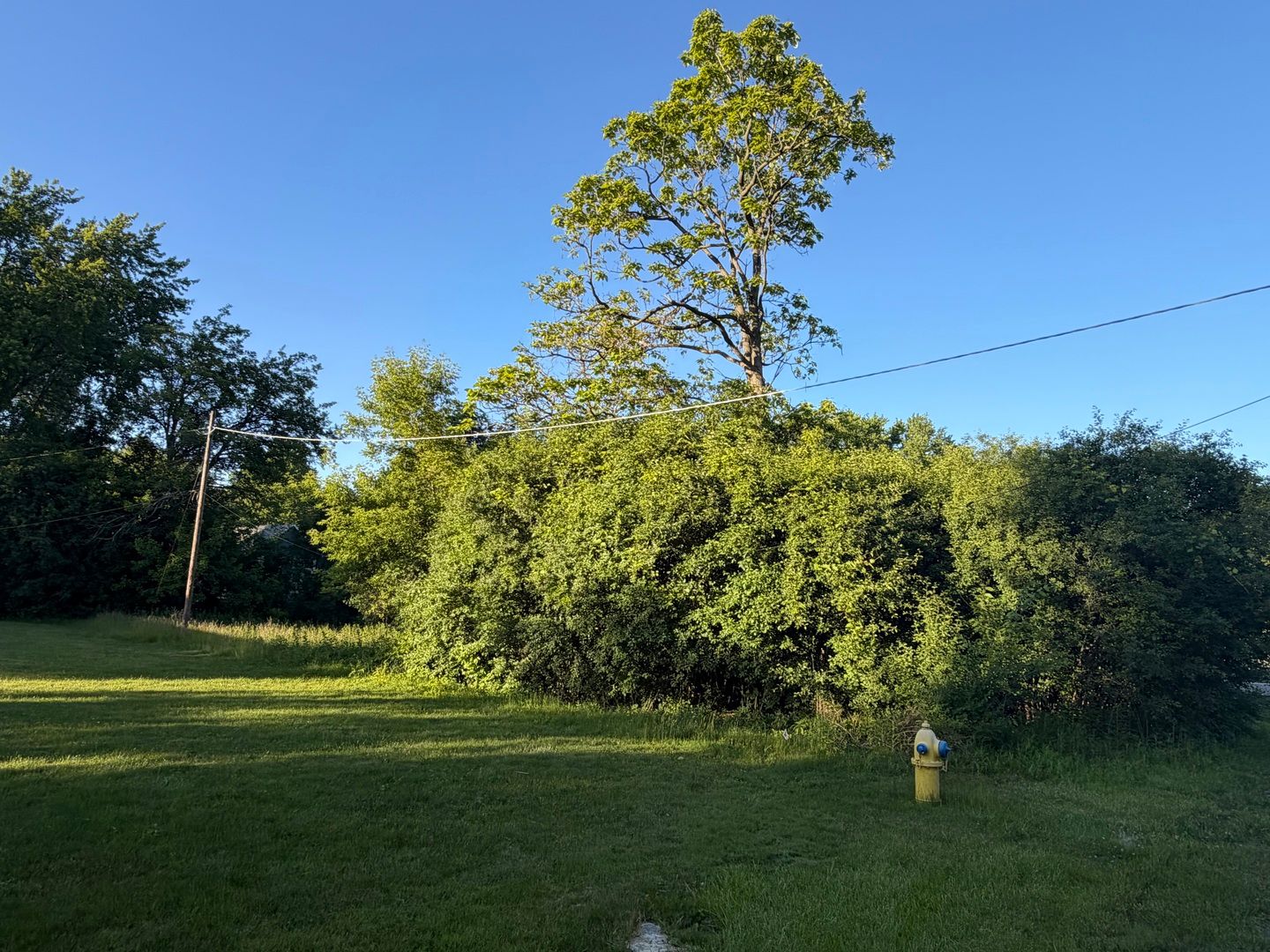 911 Safford Avenue — Lake Bluff, IL 60044