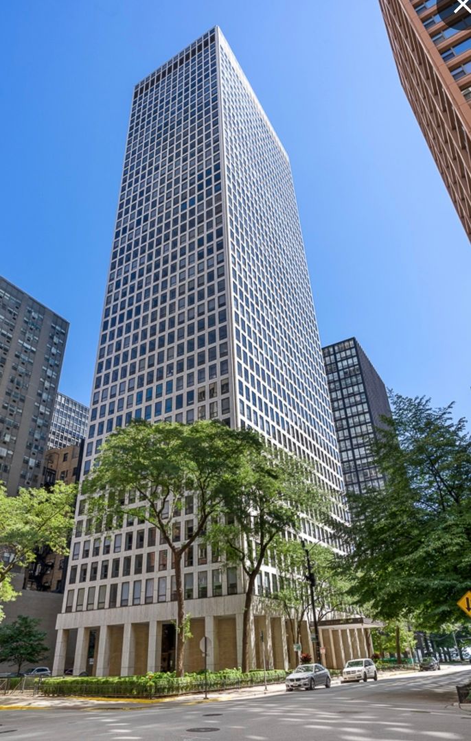 260 E Chestnut Street #409 — Chicago, IL 60611