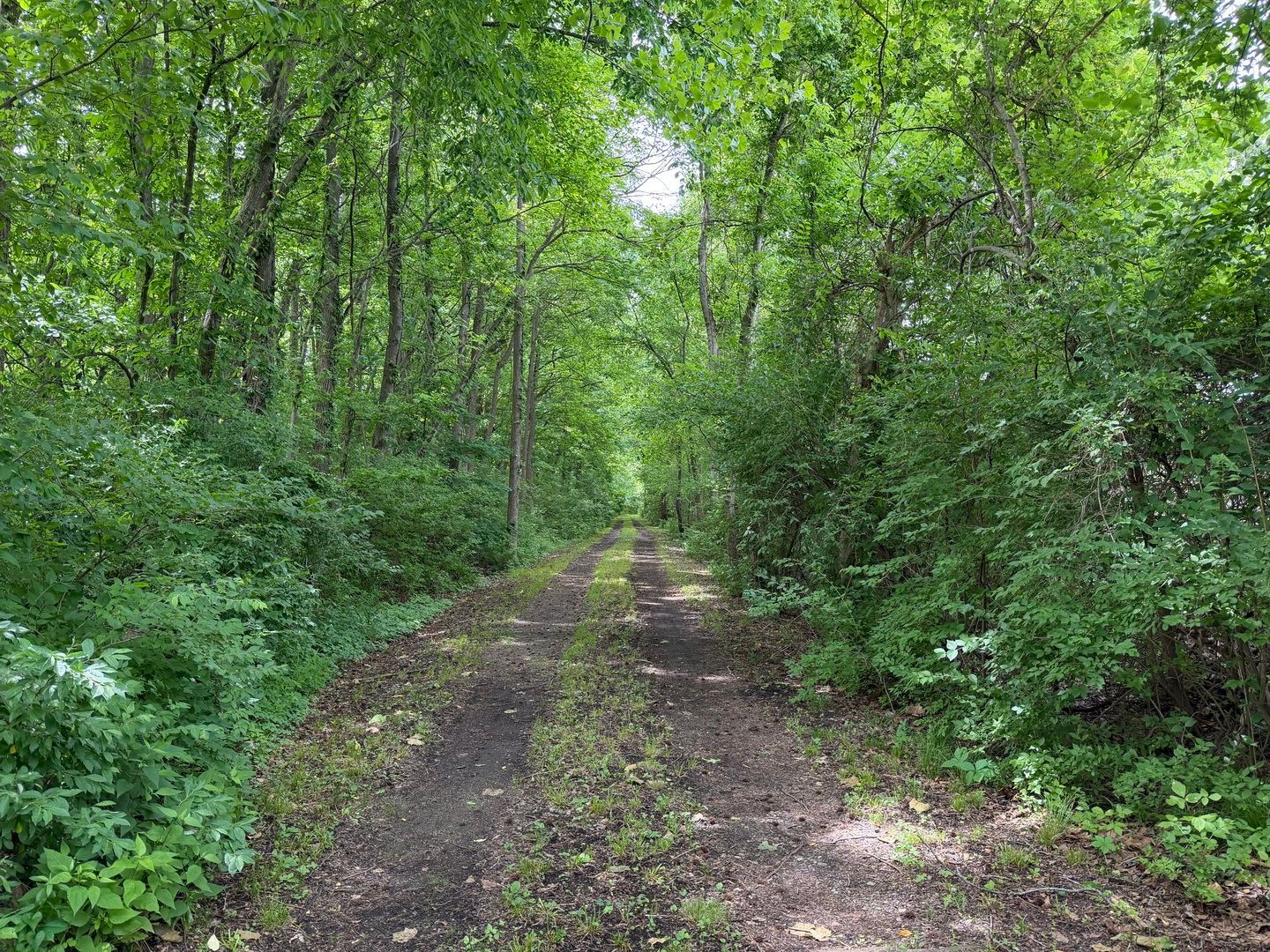 00 Shoemaker Drive — Murphysboro, IL 62966