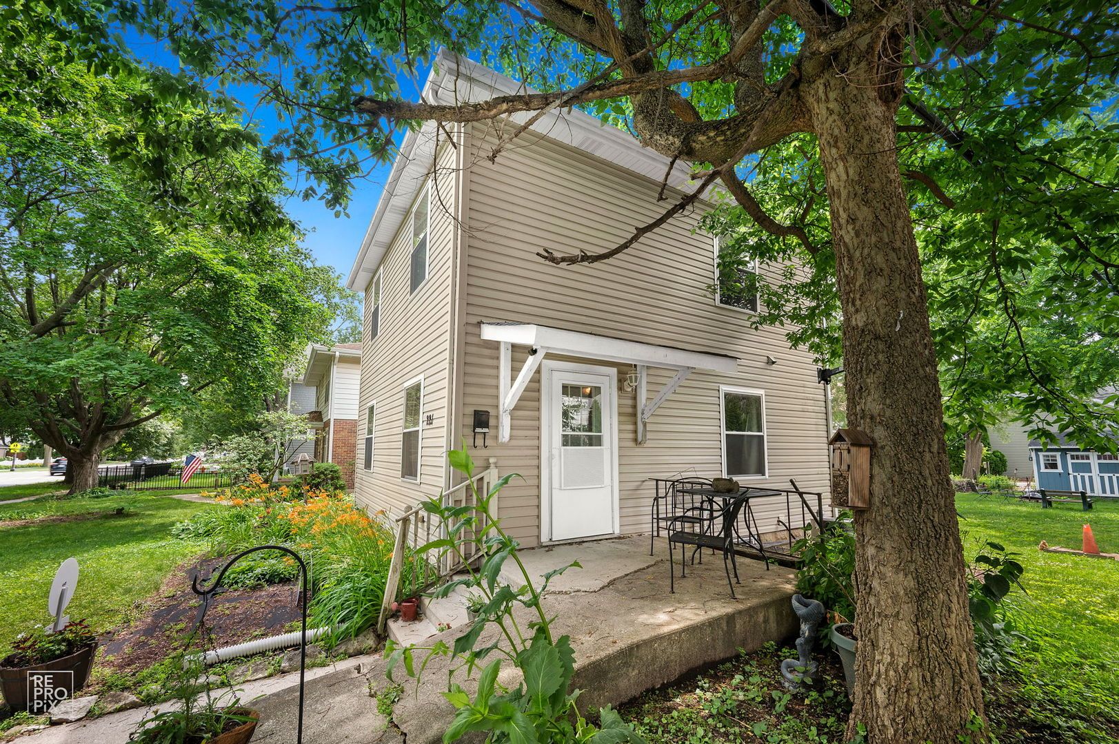 221 N MILL Street — Naperville, IL 60540