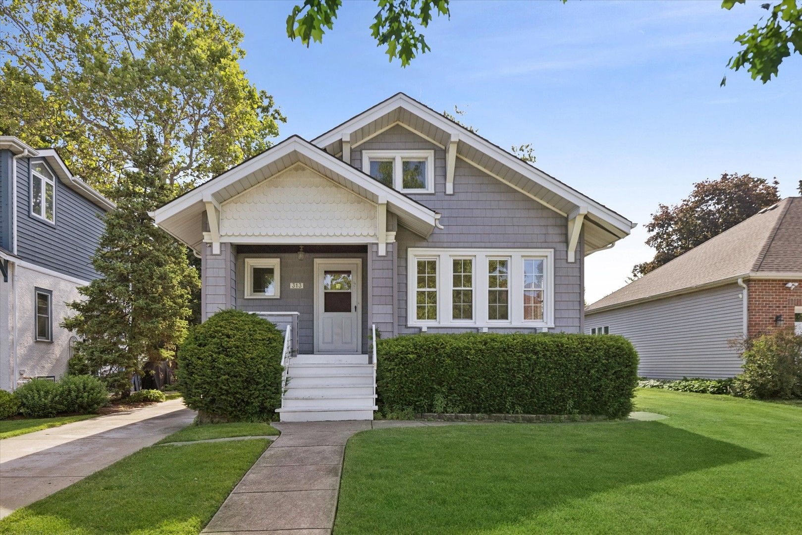 313 N Larch Avenue — Elmhurst, IL 60126