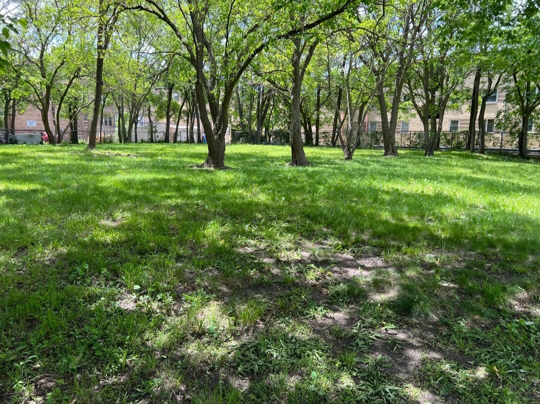 2121 E 72nd Street — Chicago, IL 60649
