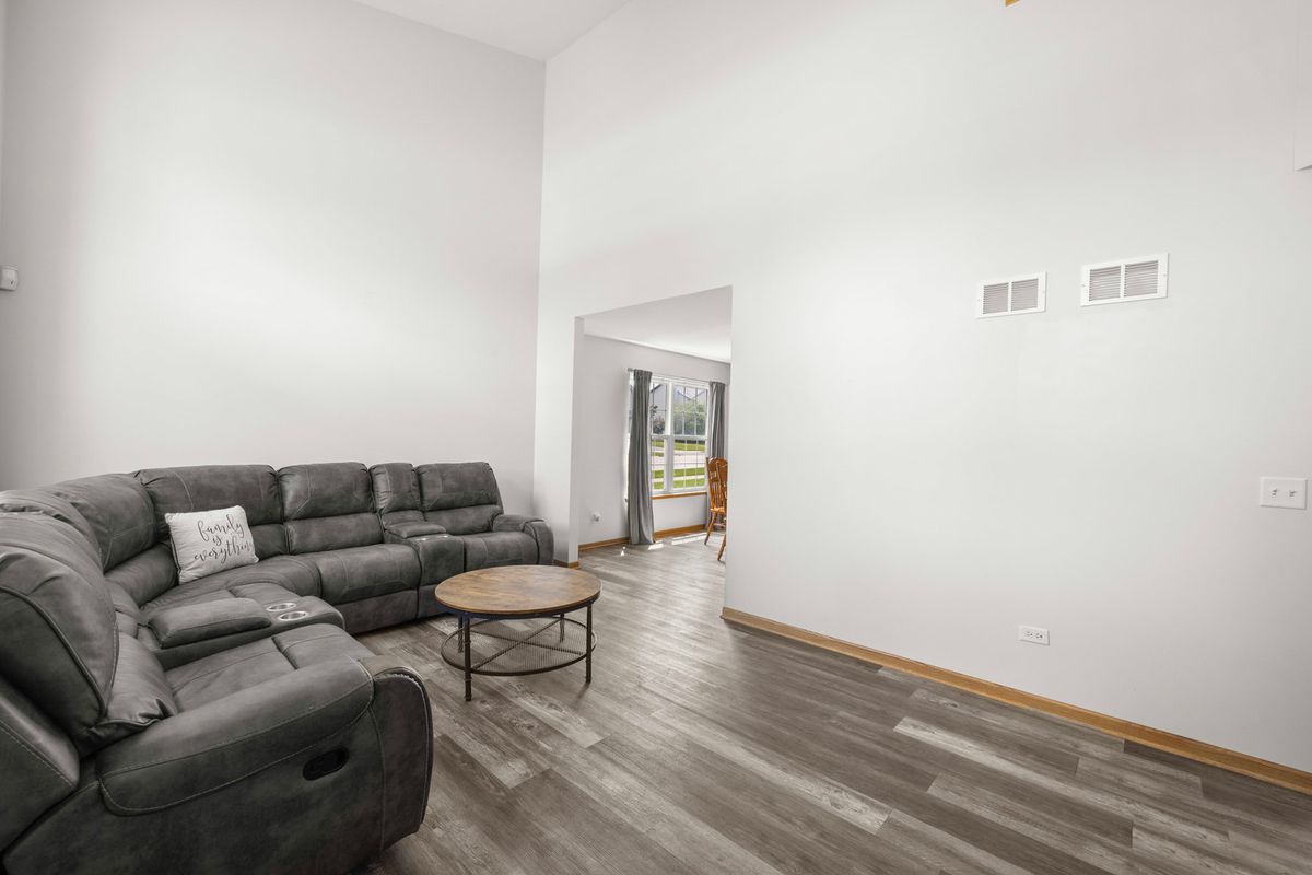 25726 W Lilac Ave, Monee, IL 60449 — photo 4