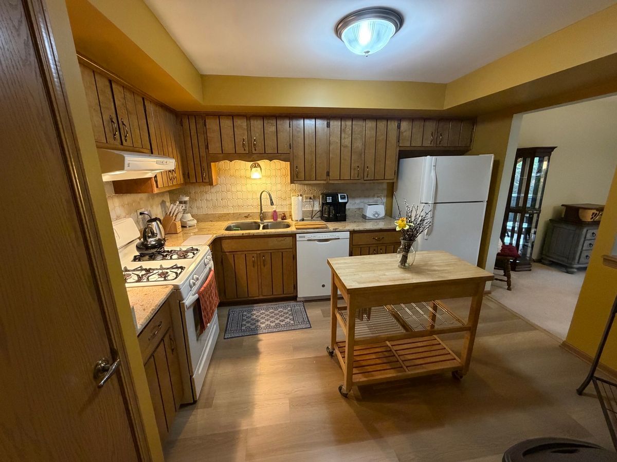 15715 Deerfield Ct #1N, Orland Park, IL 60462 — photo 5