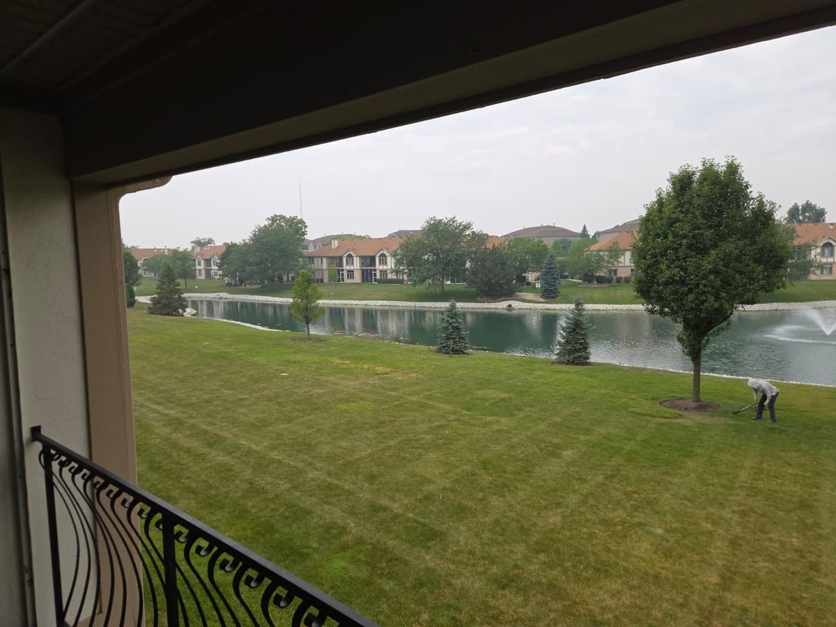 6506 Pine Trail Ln #4, Tinley Park, IL 60477 — photo 6
