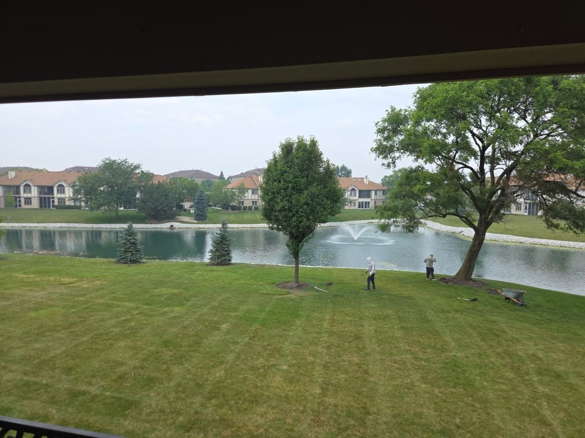 6506 Pine Trail Ln #4, Tinley Park, IL 60477 — photo 5
