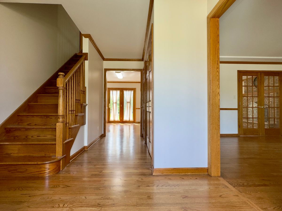 10433 Amber Ln, Orland Park, IL 60467 — photo 5
