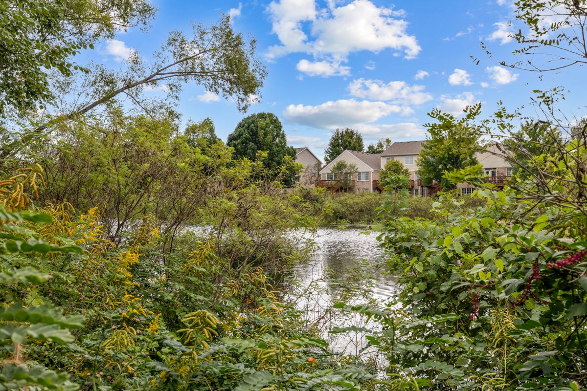 18021 Breckenridge Blvd, Orland Park, IL 60467 — photo 6