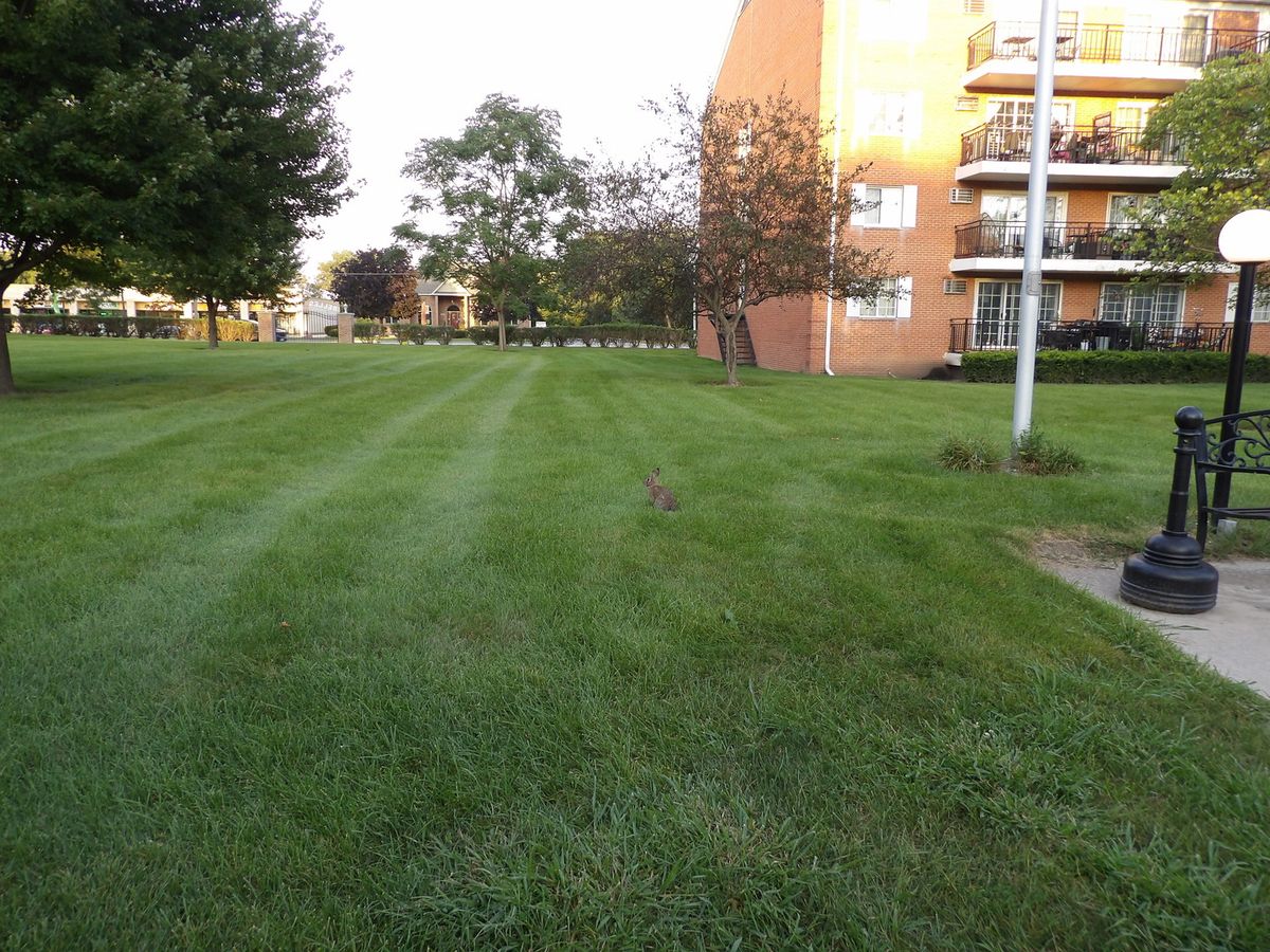 1100 N Farnsworth Ave #2A, Aurora, IL 60505 — photo 8