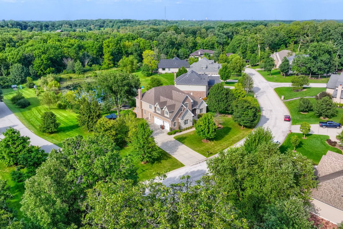 10594 Charmaine Dr, Frankfort, IL 60423