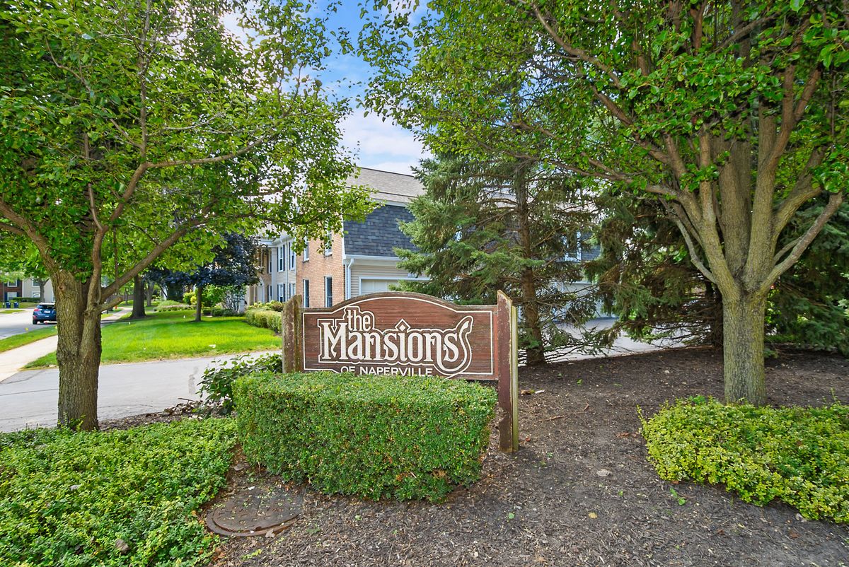 1105 Spring Garden Cir #5, Naperville, IL 60563 — photo 4
