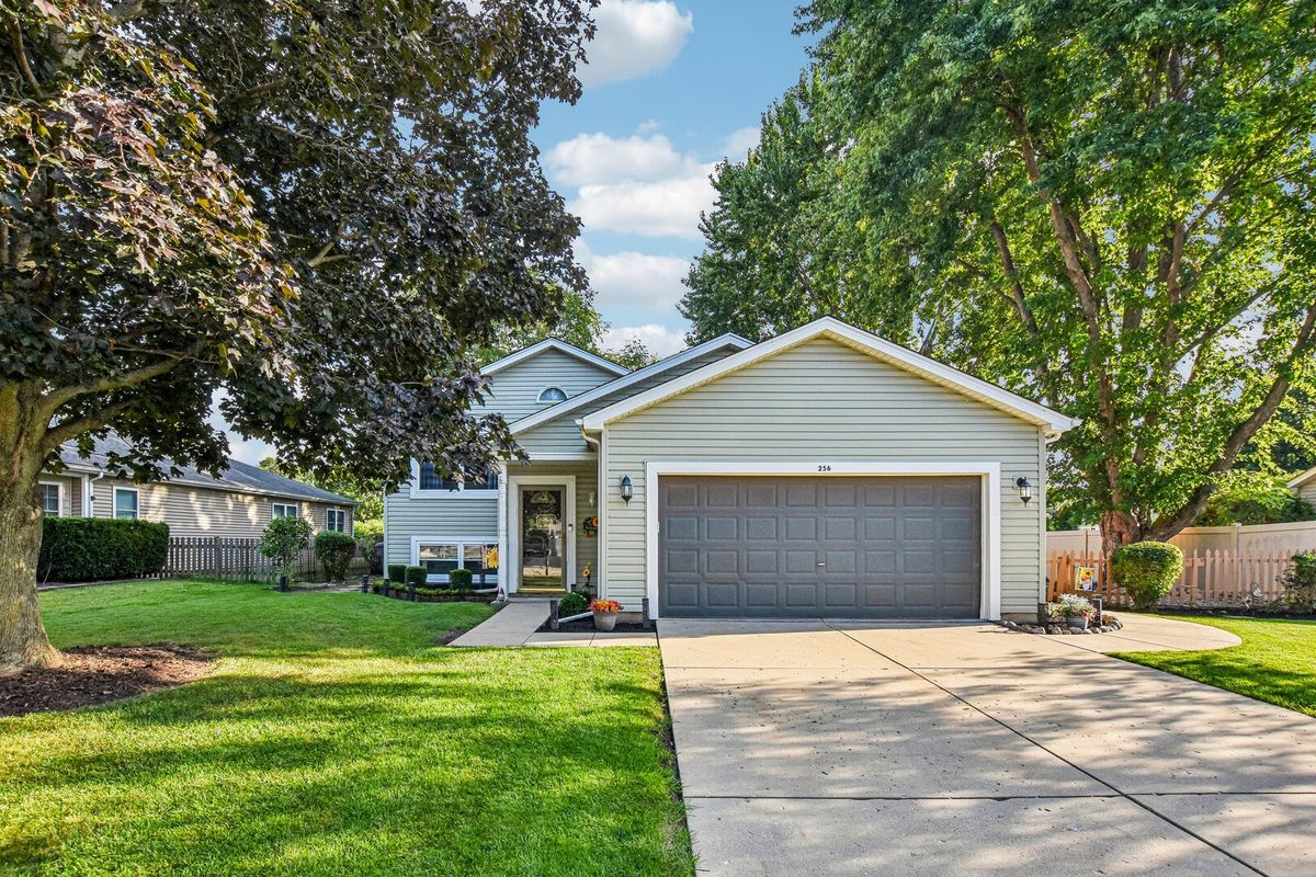 256 Meadows Dr, Sugar Grove, IL 60554