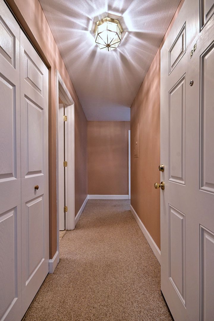 850 S Lorraine Rd #3E, Wheaton, IL 60189 — photo 3