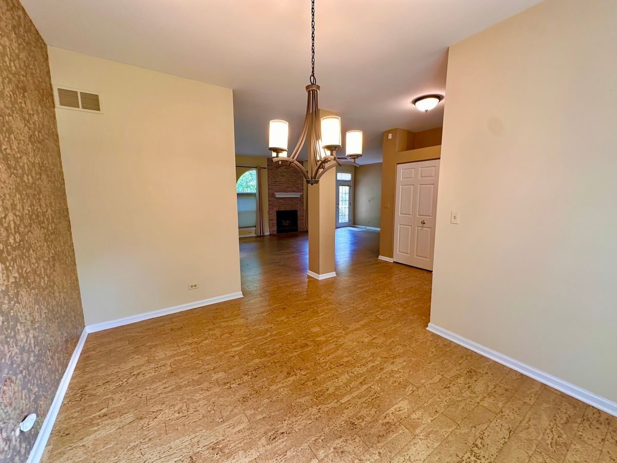 1896 School House Ln, Aurora, IL 60506 — photo 8