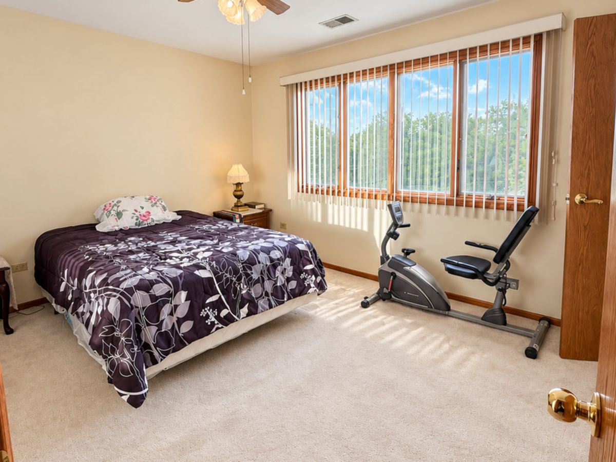 14161 Rado Dr, Homer Glen, IL 60491 — photo 8