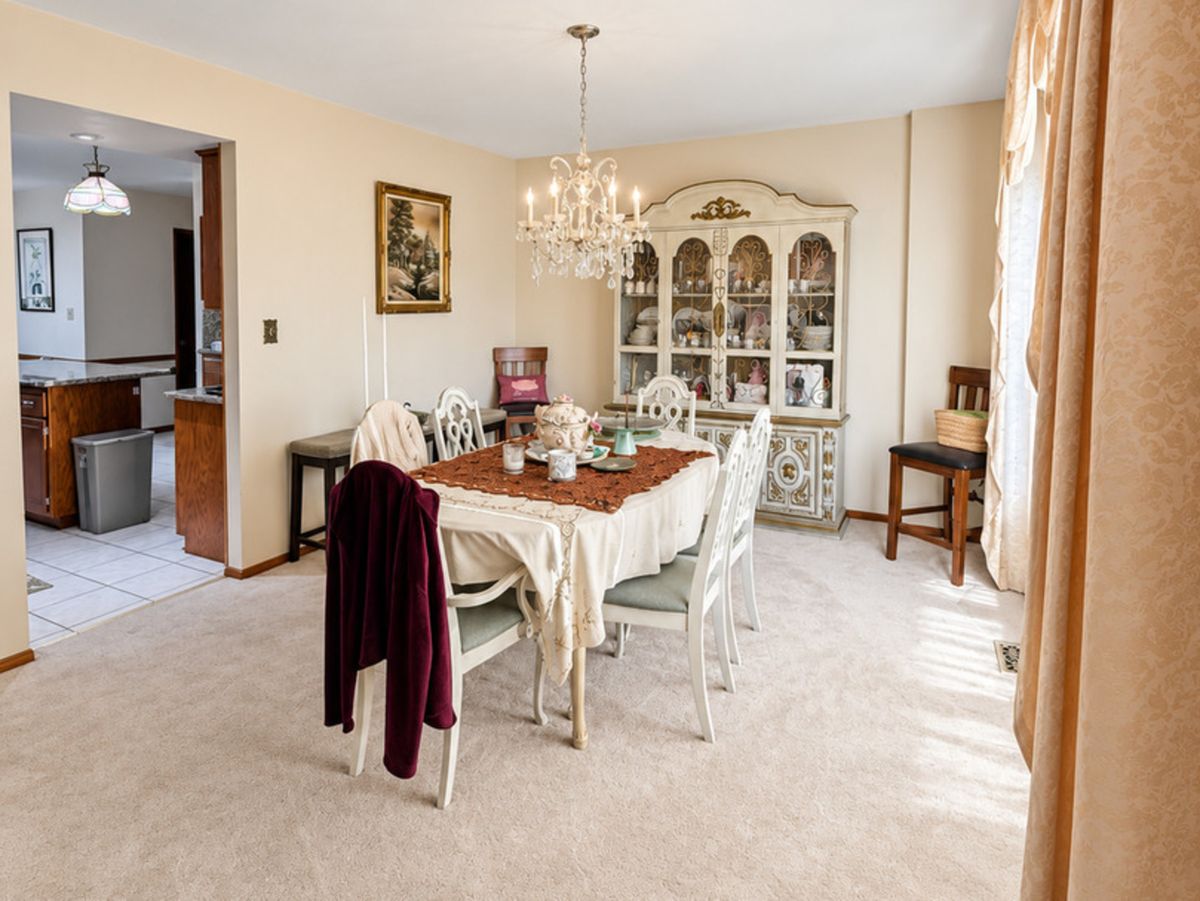 14161 Rado Dr, Homer Glen, IL 60491 — photo 5